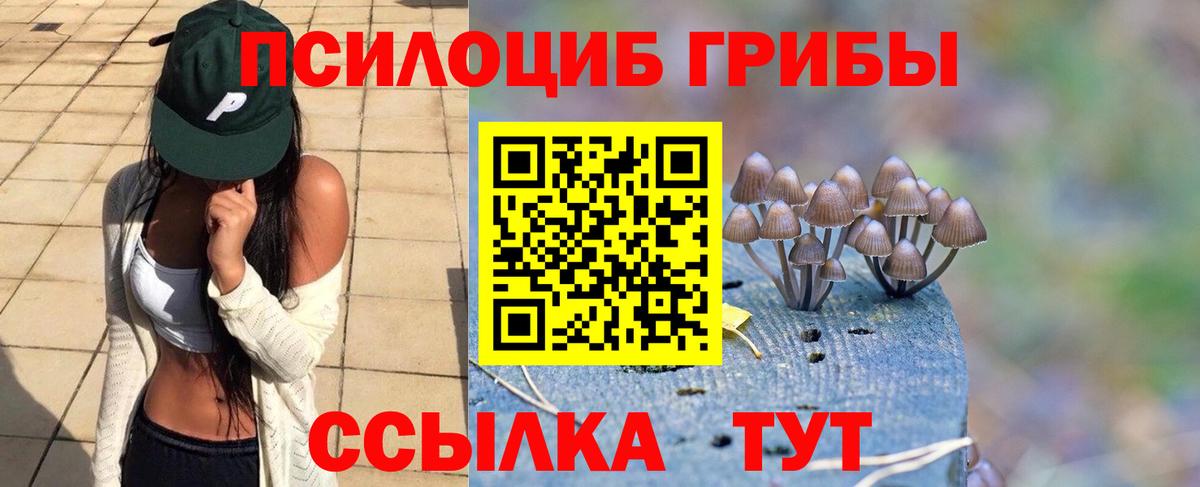 Псилоцибиновые грибы GOLDEN TEACHER Полевской